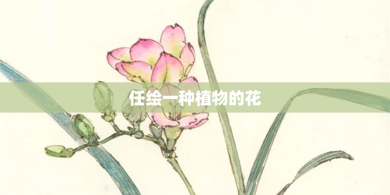 代家沟村属于哪个省哪个市