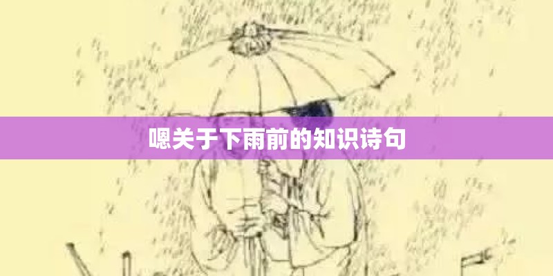 嗯关于下雨前的知识诗句