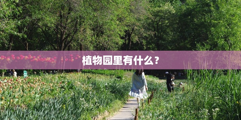 给水排水杂志社的出版协作