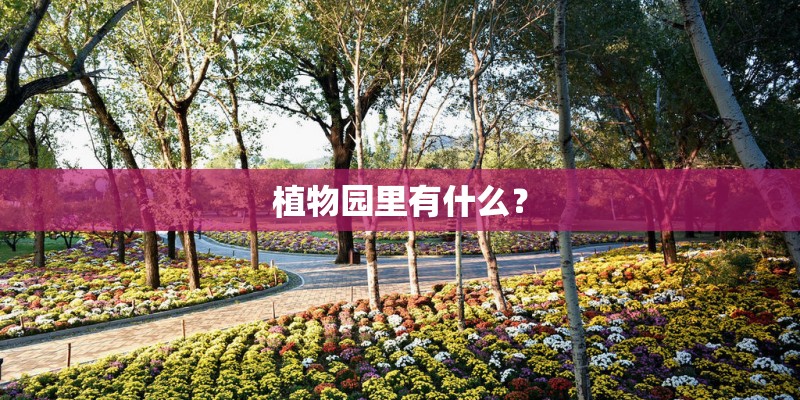 植物园里有什么？