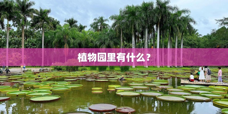 植物园里有什么？