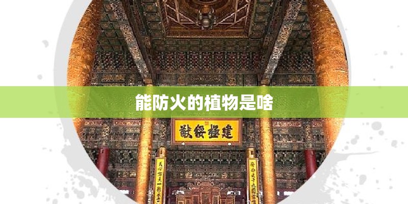 能防火的植物是啥