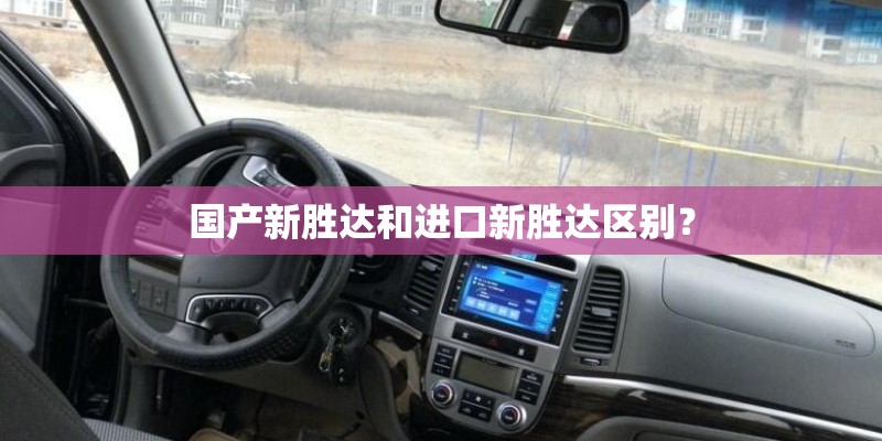 适合室内种的有哪些