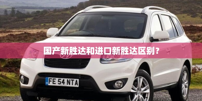 国产新胜达和进口新胜达区别？