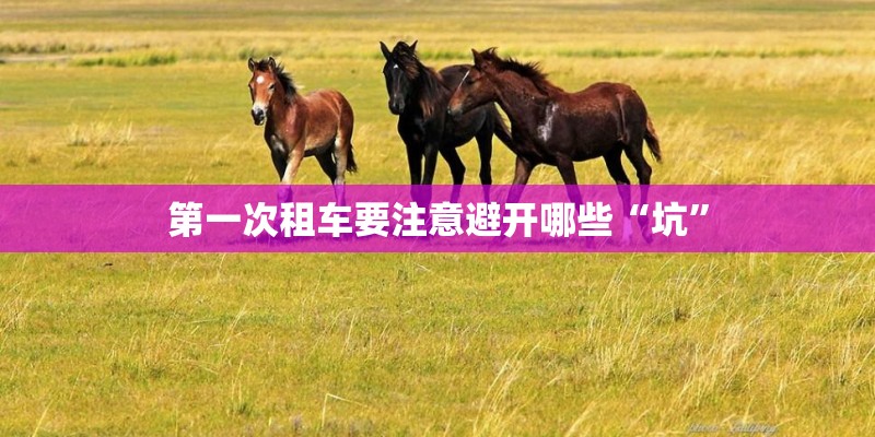 第一次租车要注意避开哪些“坑” 第一次租车要注意避开哪些“坑”