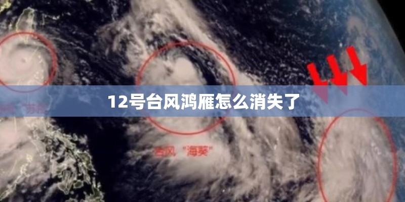 开大众CC的都是什么人