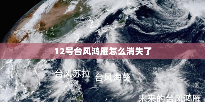 12号台风鸿雁怎么消失了