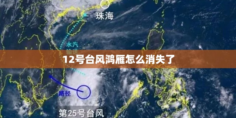 12号台风鸿雁怎么消失了