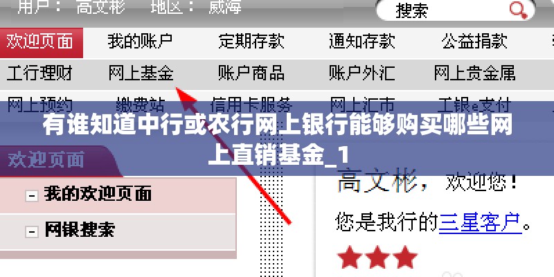有谁知道中行或农行网上银行能够购买哪些网上直销基金_1