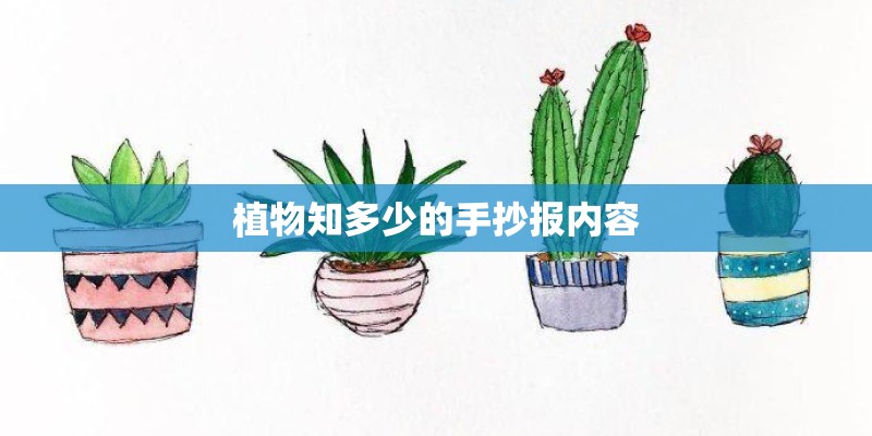 植物知多少的手抄报内容