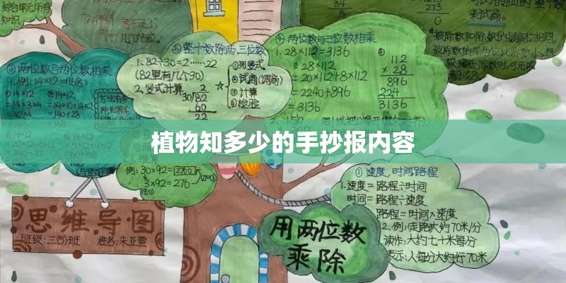 植物知多少的手抄报内容