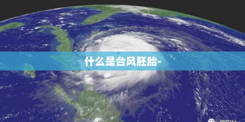 什么是台风胚胎-