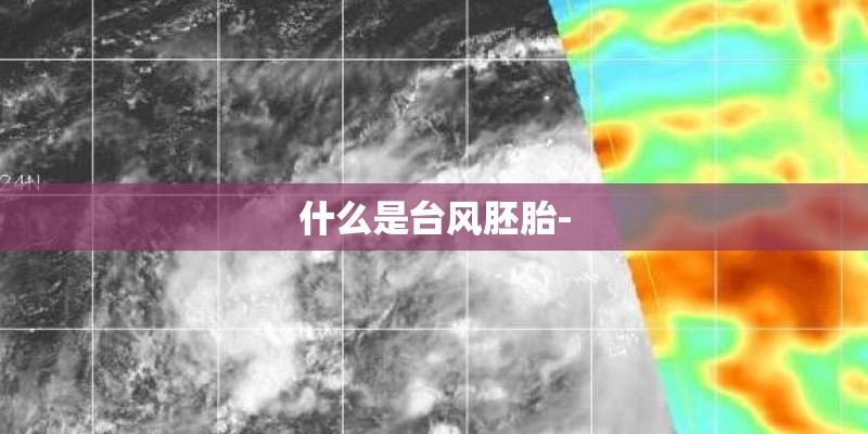 什么是台风胚胎-
