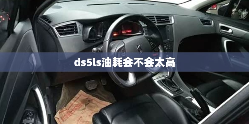 ds5ls油耗会不会太高