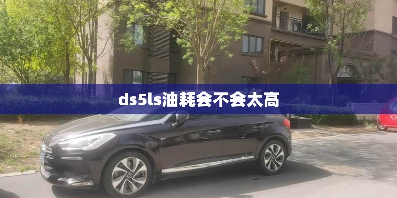 ds5ls油耗会不会太高