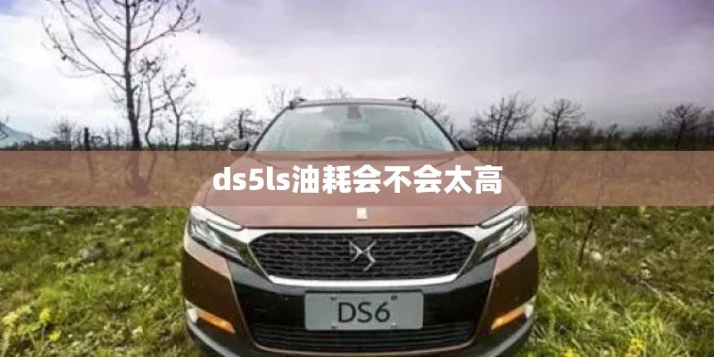 ds5ls油耗会不会太高