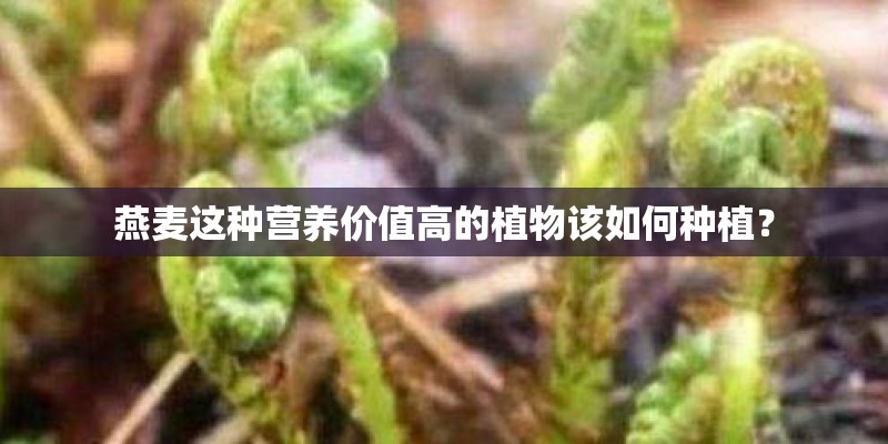 奔驰官网怎么车书