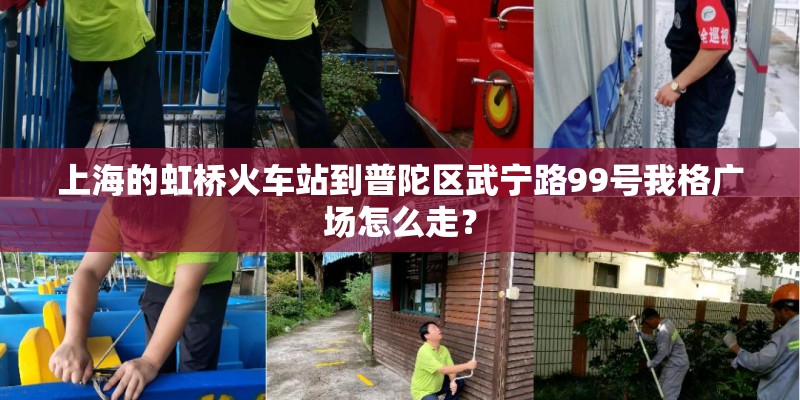 海琳人物介绍