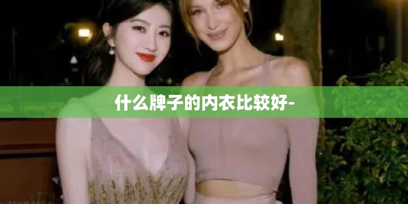 什么牌子的内衣比较好-