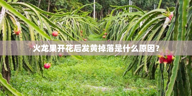 修水房屋出租