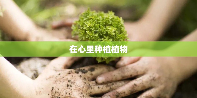 如何挑选适合自己的高尔夫球杆