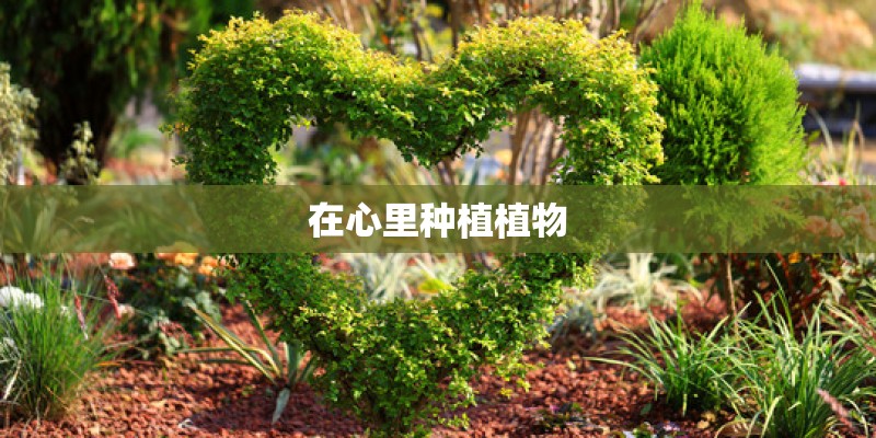 在心里种植植物