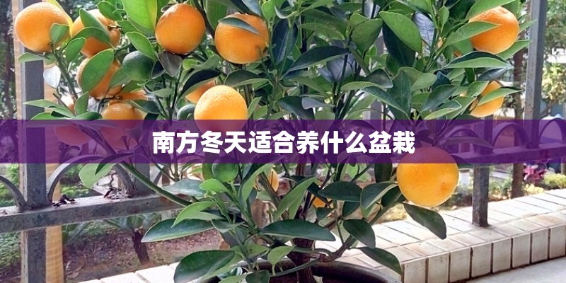 国际贸易 核心期刊有哪些