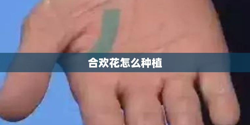 合欢花怎么种植