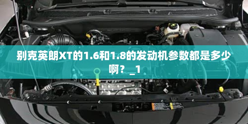 泡在水里发芽的带字的豆豆