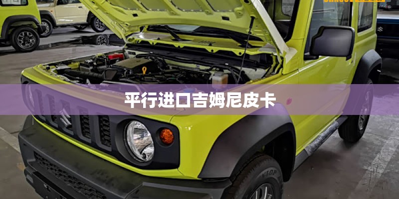 平行进口吉姆尼皮卡