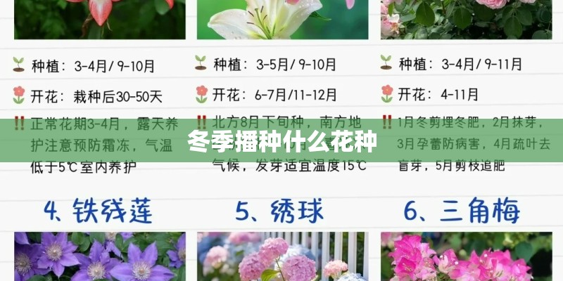 成都新东方雅思培训电话