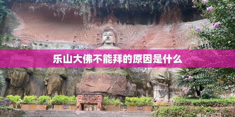 冬季如何养如意皇后？