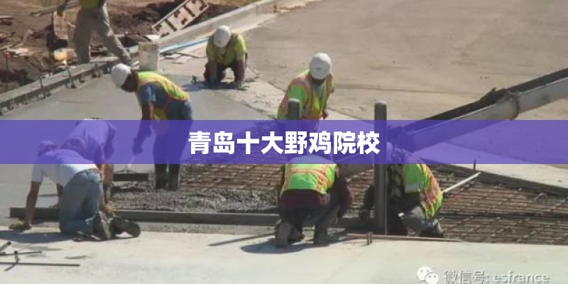 第一辆买日本车？
