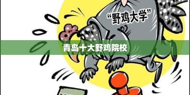 青岛十大野鸡院校