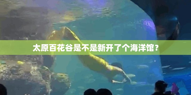 太原百花谷是不是新开了个海洋馆？