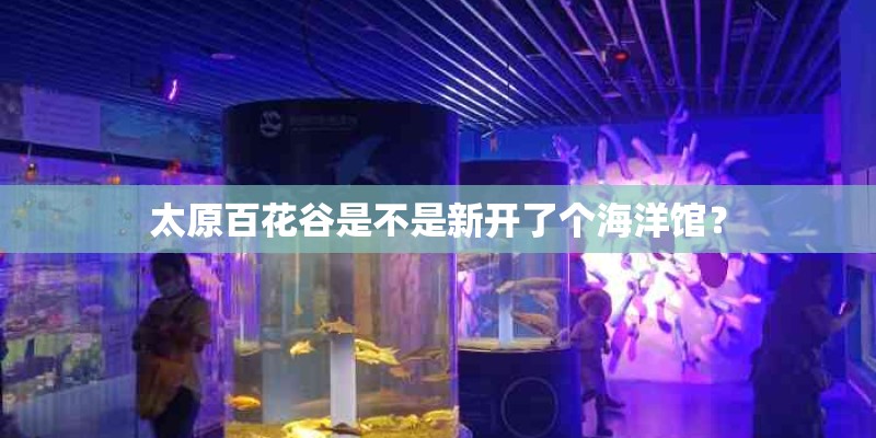 太原百花谷是不是新开了个海洋馆？