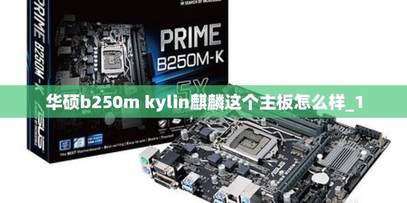 华硕b250m kylin麒麟这个主板怎么样_1