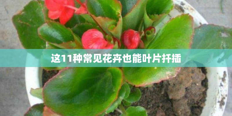 管综数学机械出版社和北京理工大学出版社一样吗