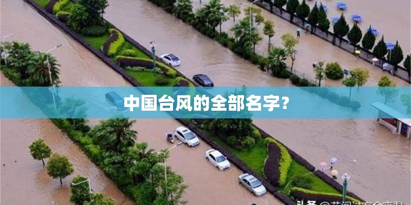 中国台风的全部名字？