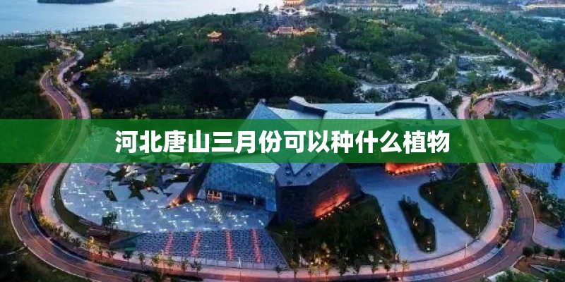 一线二线三线汽车品牌有哪些？_1