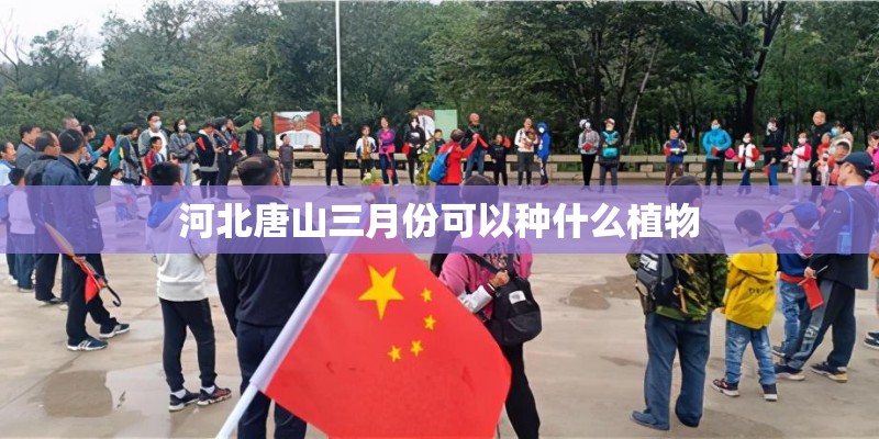 河北唐山三月份可以种什么植物 河北唐山三月份可以种什么植物