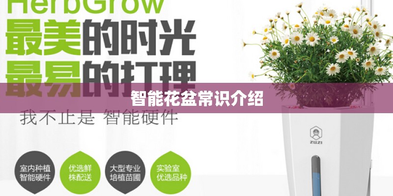 宝马敞篷车报价