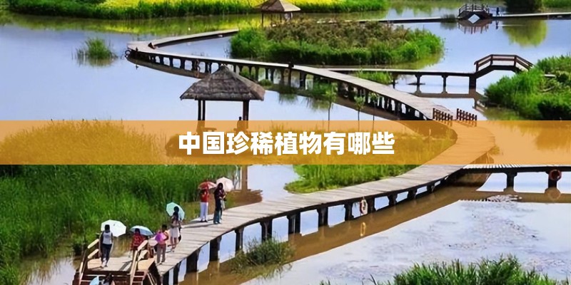 中国珍稀植物有哪些