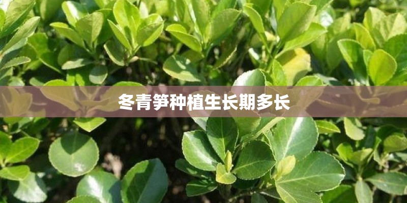 一汽丰田威驰改装_1