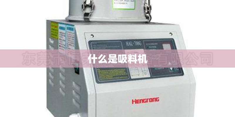 新买的芦荟要怎么养活它