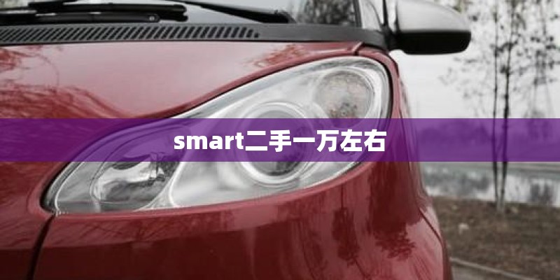 smart二手一万左右
