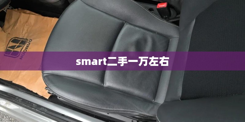smart二手一万左右