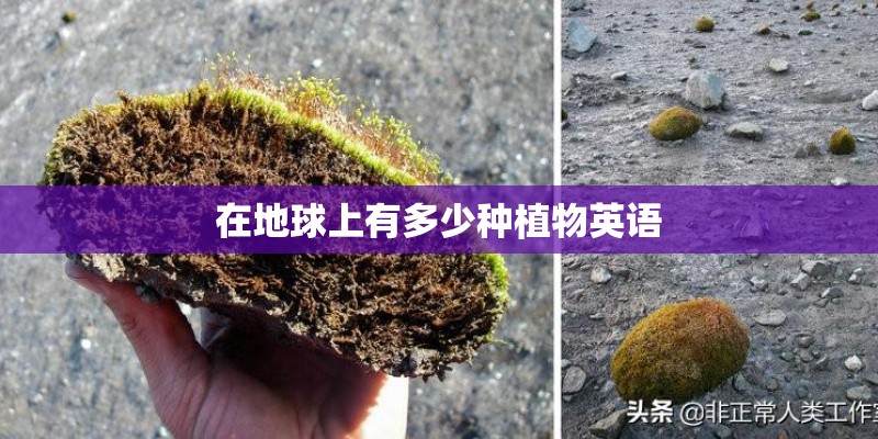 在地球上有多少种植物英语