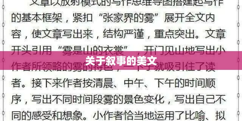 关于叙事的美文