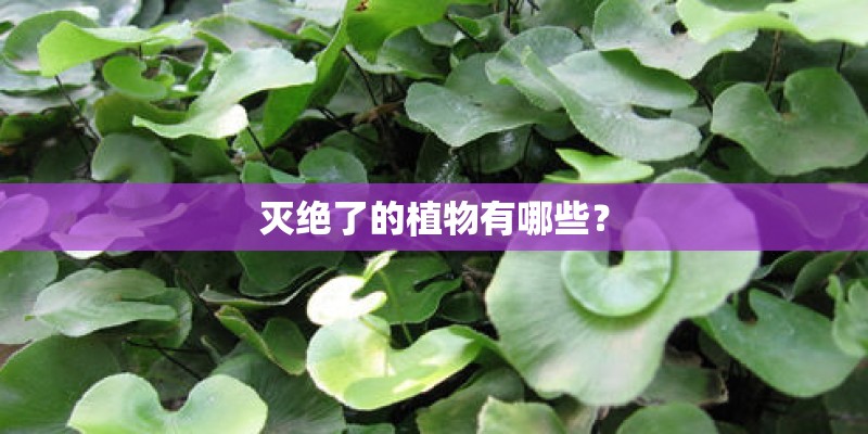 灭绝了的植物有哪些？